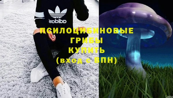 твердый Алзамай