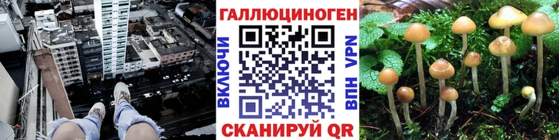 Псилоцибиновые грибы Psilocybine cubensis МЕГА ССЫЛКА Сокол